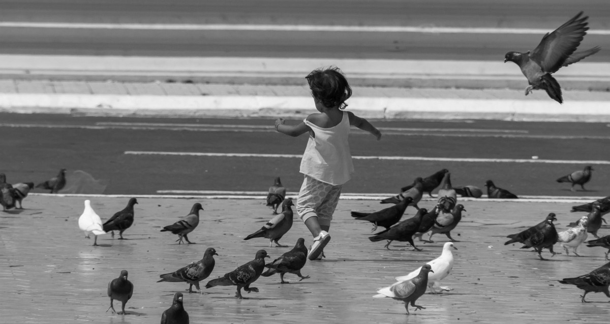 foto: [20150303PV8198-2A]